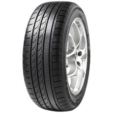 Minerva S210 Ice Plus