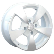 LS NG213